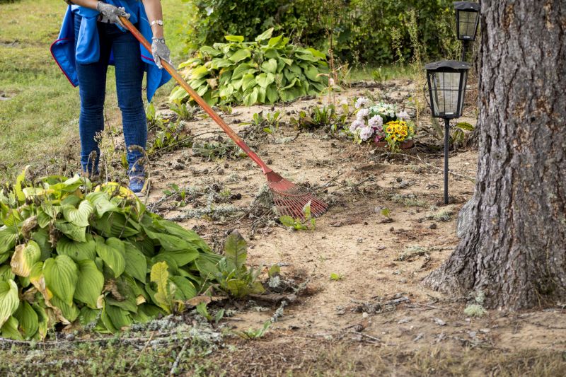 Local Land Clearing pros at work