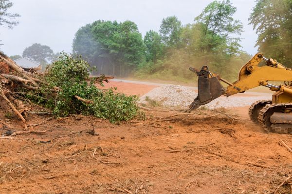 Forestry Mulching Service in Pottstown