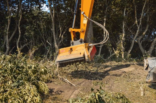 Brush Removal Service in Pottstown