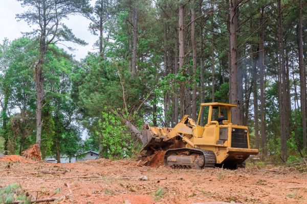 Property Clearing in Pottstown