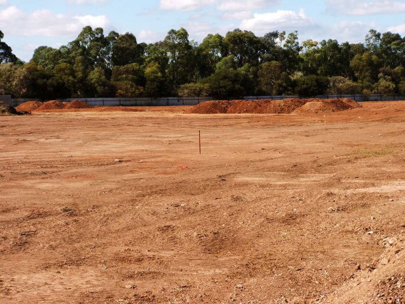 Cleared Site Showing Level Surface