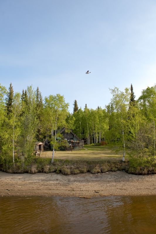 Cleared Land Post-Operation