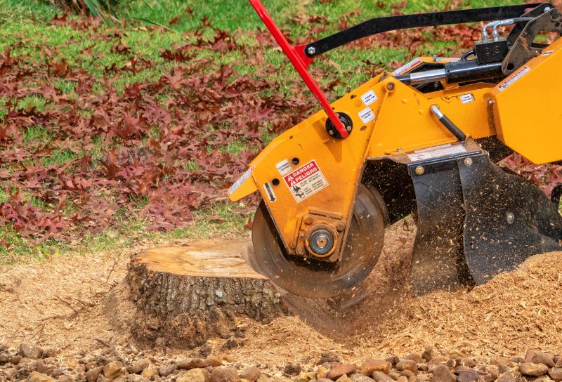 Stump Grinding Tools